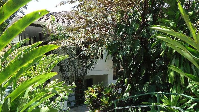 Hotel Mandarina