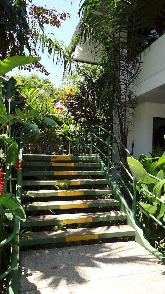 Hotel Mandarina