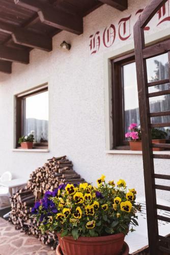 Hotel Mignon