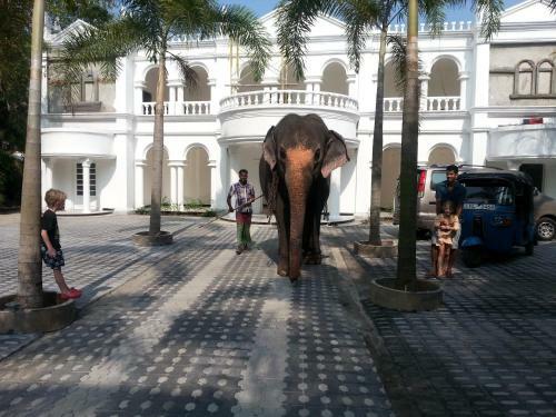 Hotel Bougain Villa