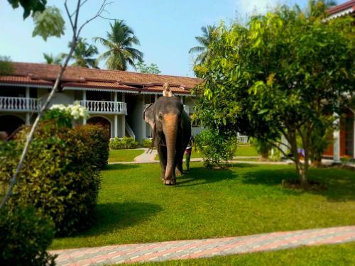 Hotel Bougain Villa