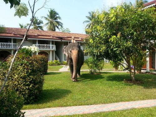 Hotel Bougain Villa