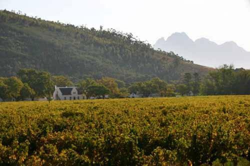 Bed & Breakfast Basse Provence Country House