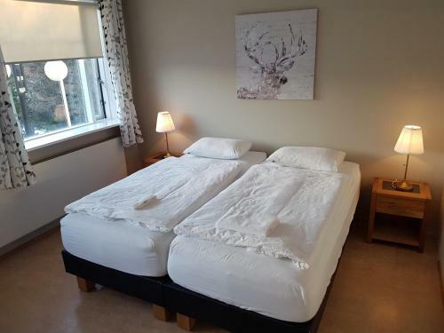 Hostal Guesthouse Ormurinn