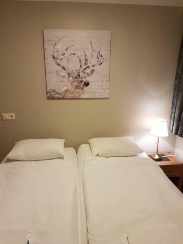Hostal Guesthouse Ormurinn