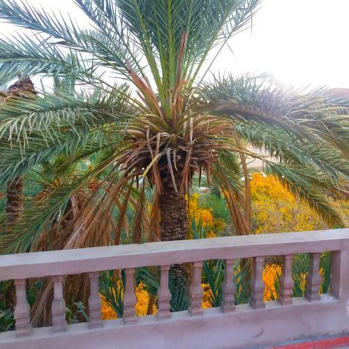 Bed & Breakfast Kasbah Elmehdaoui