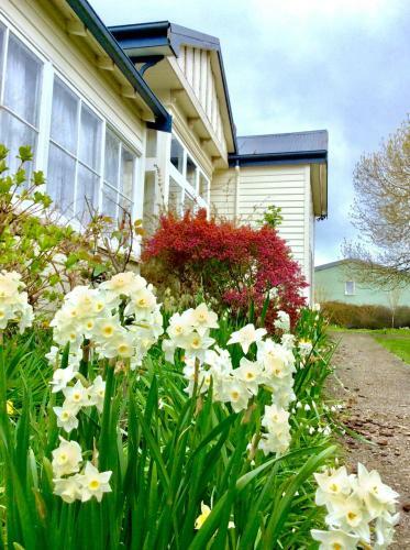 Acacia Bed And Breakfast