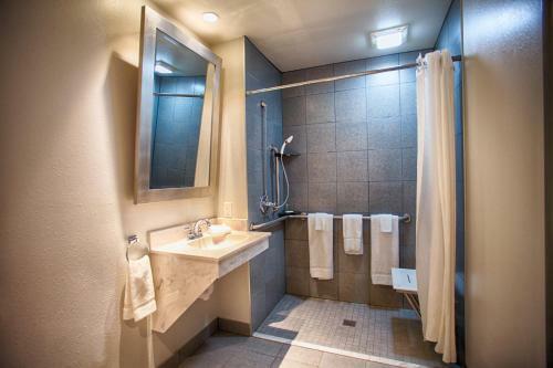 Z Loft Hotel
