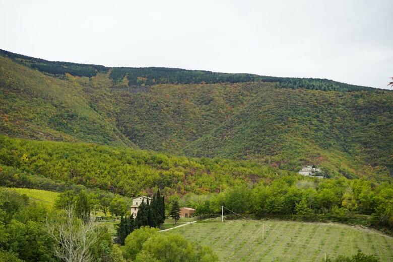 Agroturismo Agriturismo Colle Casini Cortesi