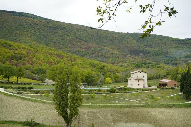 Agroturismo Agriturismo Colle Casini Cortesi