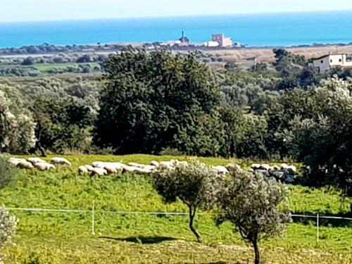 Agroturismo Terre Di Vendicari