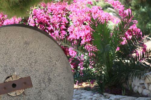 Agroturismo Terre Di Vendicari