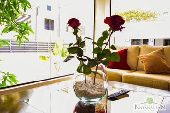 Pantanal Inn Hotel