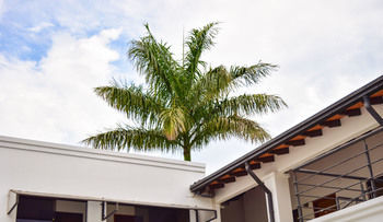 Pantanal Inn Hotel