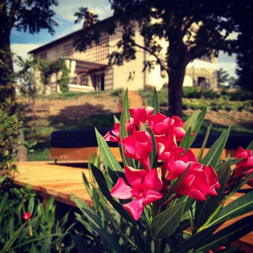 Agroturismo B&B Rio Calvane