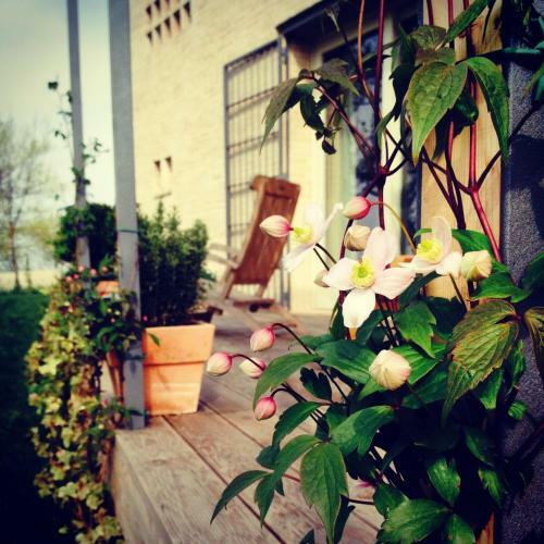 Agroturismo B&B Rio Calvane