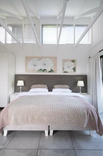 Hostal Dreamhouse Guest House