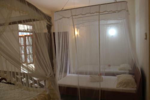 Hostal Palm Grove