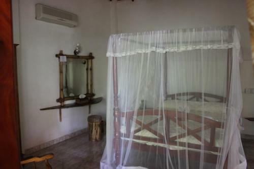 Hostal Palm Grove
