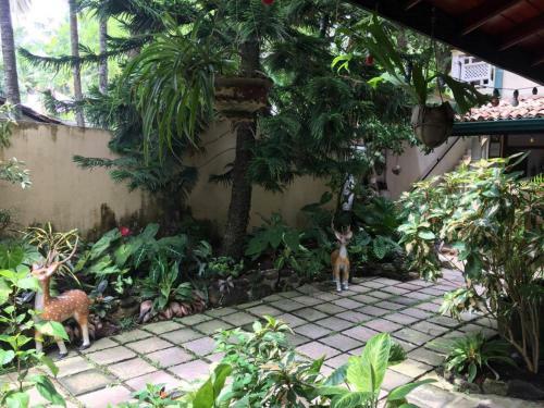 Hostal Palm Grove