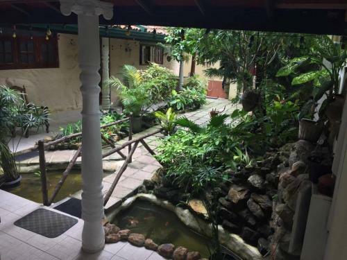 Hostal Palm Grove