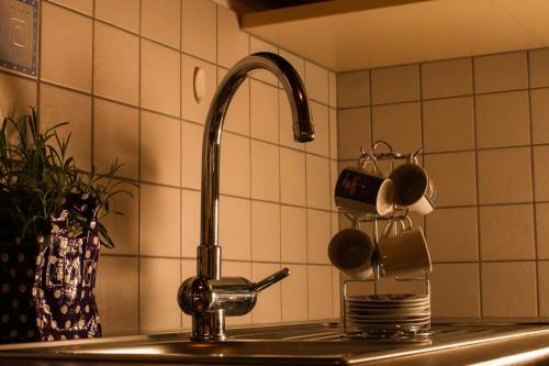 Hostal Tollhof