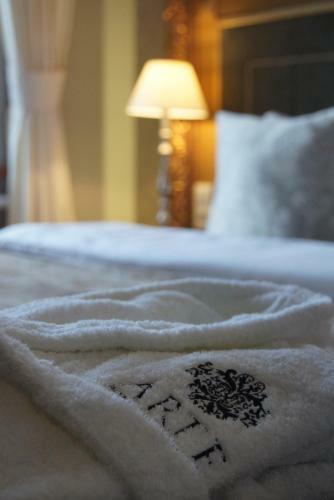 Hotel Arte