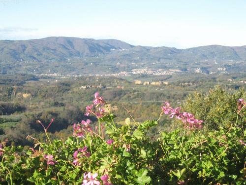 Hostal Agriturismo La Capitata