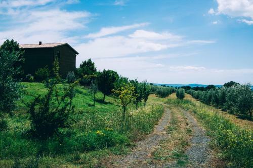 Bed & Breakfast Podere San Francesco