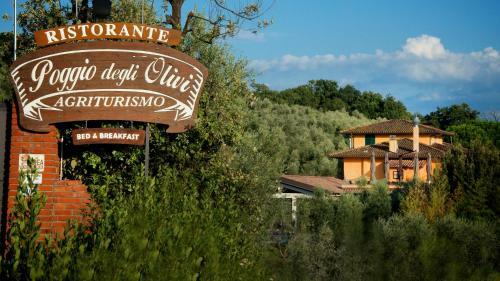 Bed & Breakfast Poggio Degli Olivi