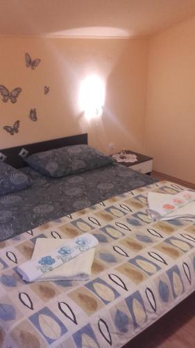Apartamentos Corry 1