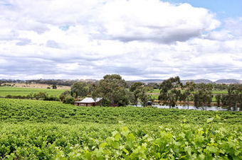 Agroturismo Stonewell Cottages And Vineyards