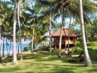 Hotel Palm Paradise Cabanas