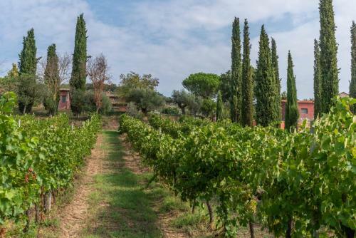 Hostal Agriturismo Le Case Rosse Di Montebuono