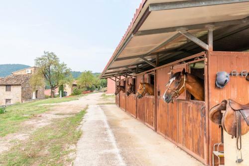 Hostal Agriturismo Le Case Rosse Di Montebuono