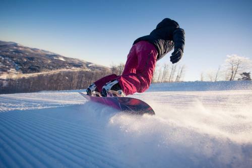 Hotel H�tel Mont-blanc