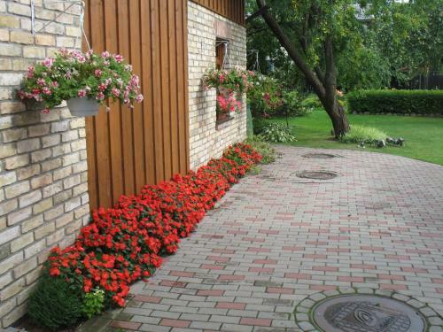 Hostal Pulkvedis Guest House