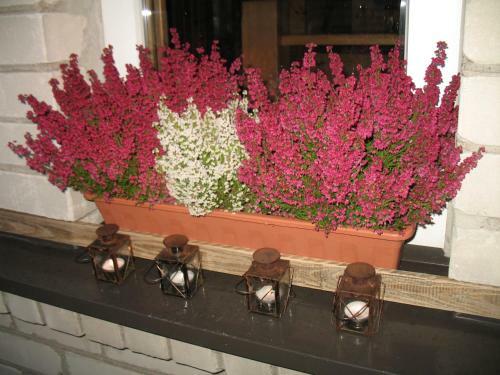Hostal Pulkvedis Guest House