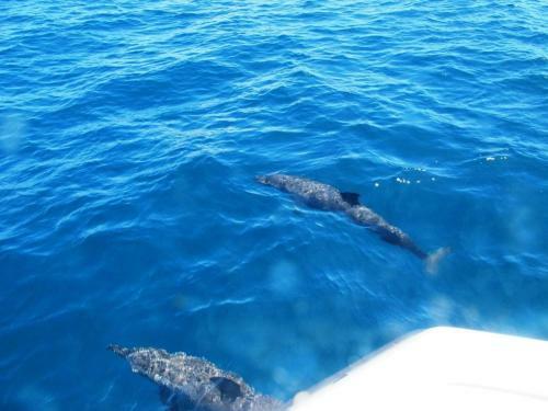 Viviendas Turisticas Binucot Beach Resort