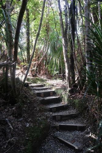 Lodge Te Nikau Retreat