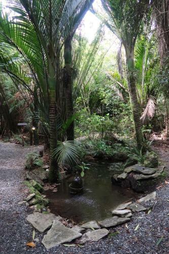 Lodge Te Nikau Retreat