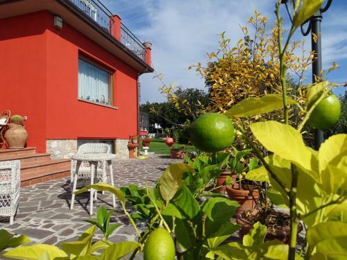 Agroturismo B&B Spring