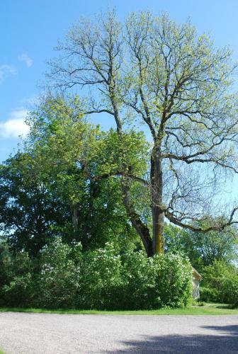 Bed & Breakfast Kristbergs Rusth�ll