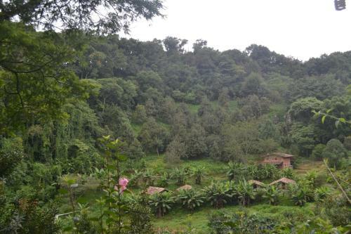 Agroturismo Caba�as La Jicarita