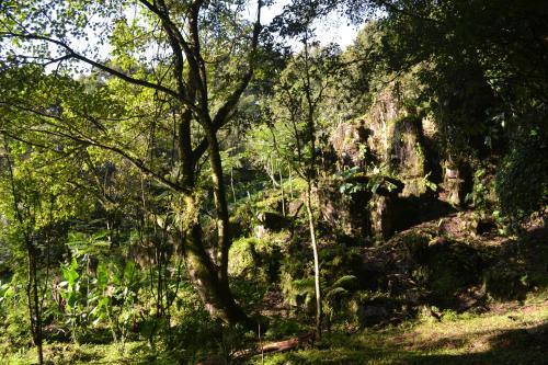 Agroturismo Caba�as La Jicarita