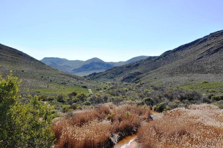 African Game Lodge
