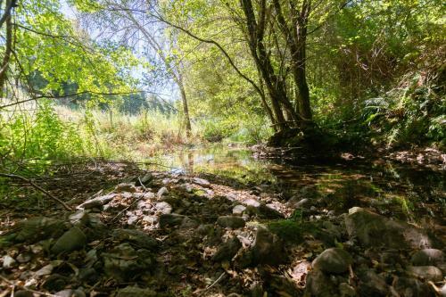Agroturismo Quinta De Entre Sebes