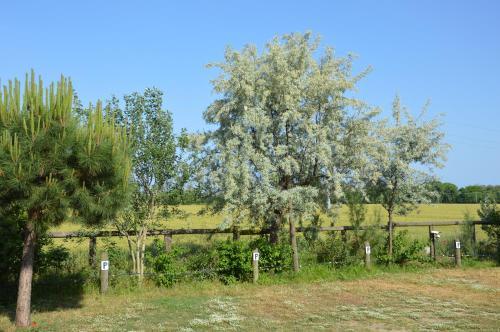 Agroturismo Corte Spina
