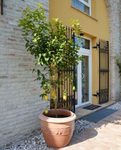 Agroturismo Corte Spina