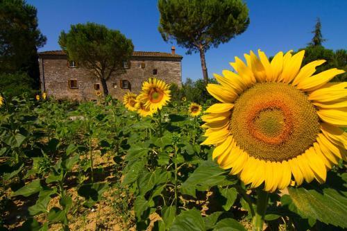 Agroturismo B&B Il Molinello